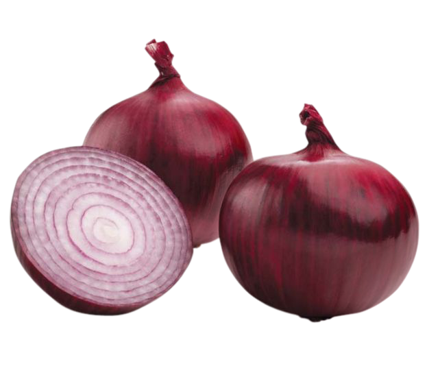 Onions, Onions png, Onions png image, Onions transparent png image, Onions png full hd images download